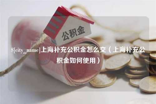 乳山上海补充公积金怎么交（上海补充公积金如何使用）